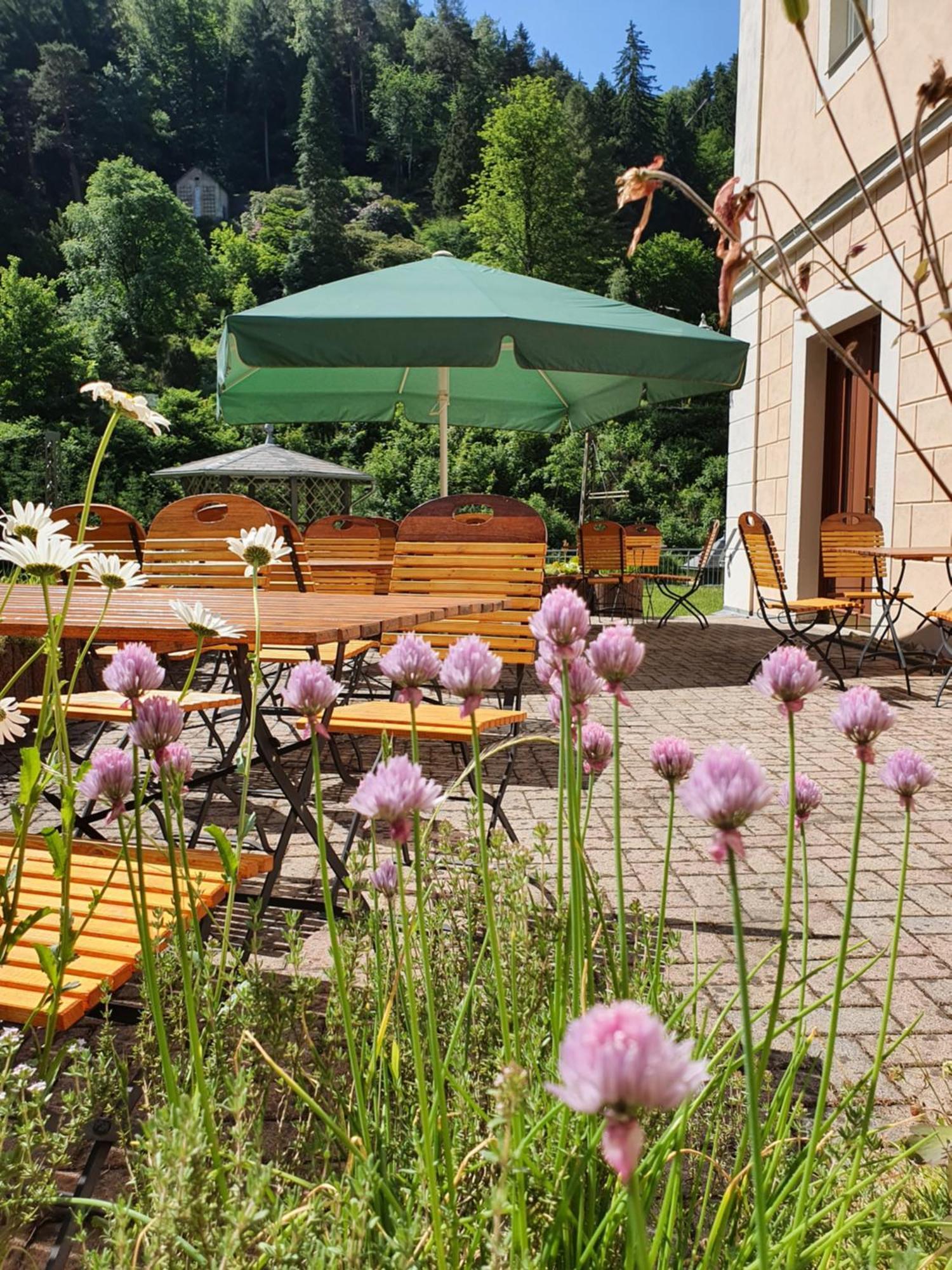 Hotel Garni Dekorahaus Bad Schandau Eksteriør billede